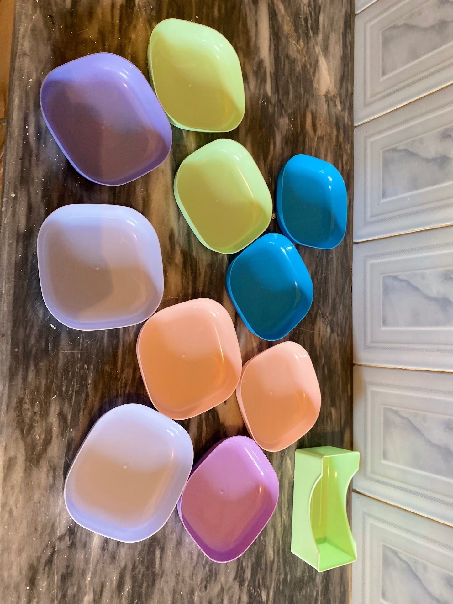 10pcs Plates Set With Holder (Random Colours)
